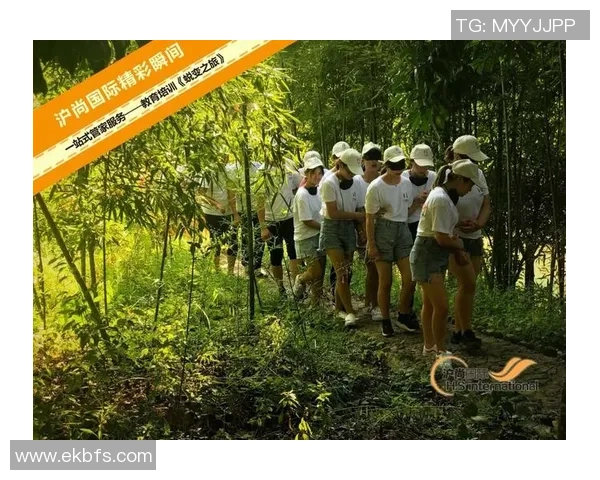 深圳排球队的蜕变之旅:从低谷到辉煌的奋斗故事